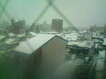 雪景色〜20101231