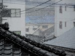 雪〜20110212弐