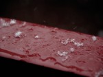 雪〜20110212参