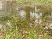 秋分〜20120922参