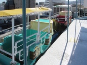 20130223tamayaA002a.jpg