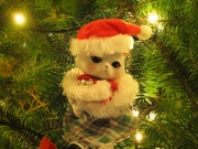 XmasEve〜20131224