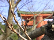 ソライロの日〜20140216