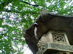 風鈴巡り〜20060722