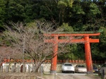 さくらプロジェクト〜20120324弐