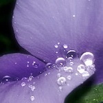 雨の日のアイコン〜20120425