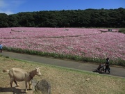 パノラマな週末〜20121013