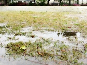 穀雨〜20130420