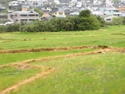 穀雨〜20130420