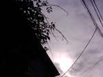 26.5℃〜20070907