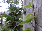 23.0℃〜20070912
