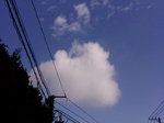 26.5℃〜20070927