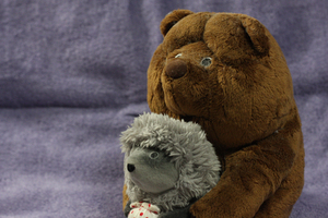 20070913yozik_canon12A.jpg