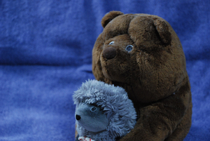 20070913yozik_nikon01A.jpg